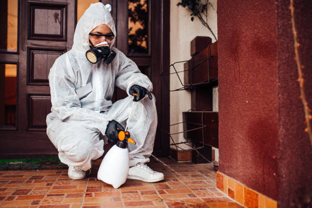 Attic and Crawl Space Rodent Treatment in Elfers